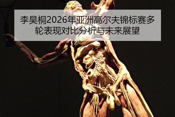 李昊桐2026年亚洲高尔夫锦标赛多轮表现对比分析与未来展望