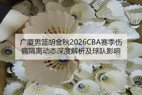 广厦男篮胡金秋2026CBA赛季伤病隔离动态深度解析及球队影响