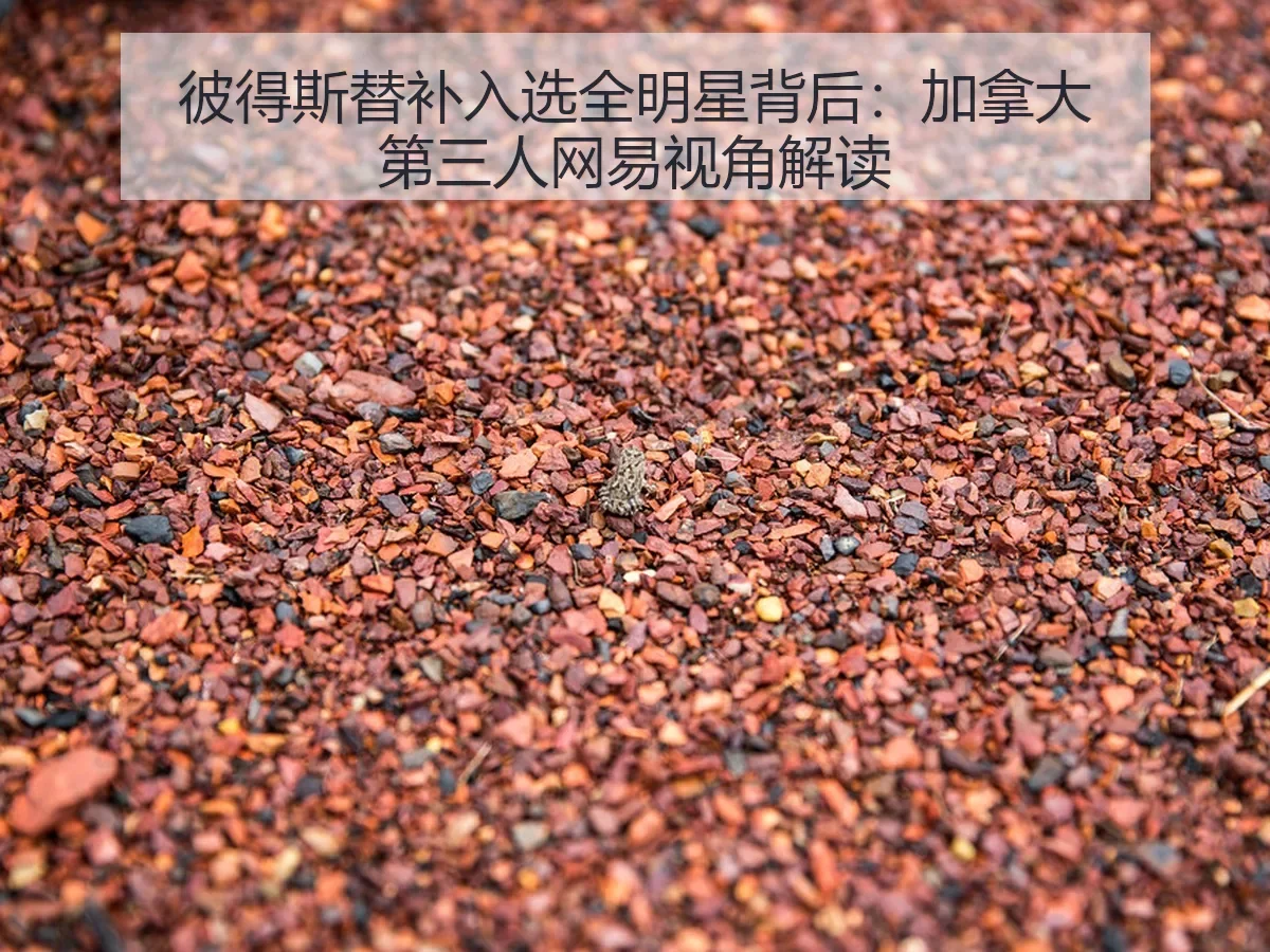 彼得斯替补入选全明星背后：加拿大第三人视角解读
