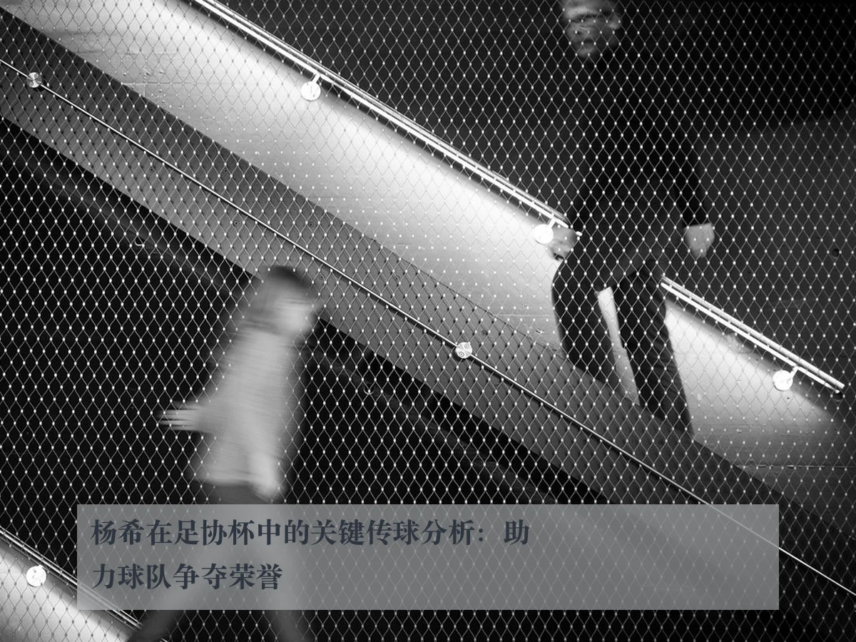 杨希在足协杯中的关键传球分析：助力球队争夺荣誉